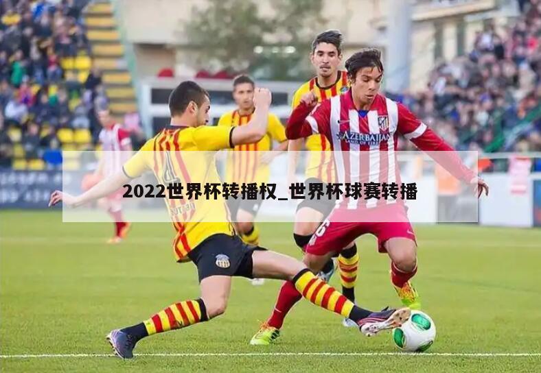 2022世界杯转播权_世界杯球赛转播