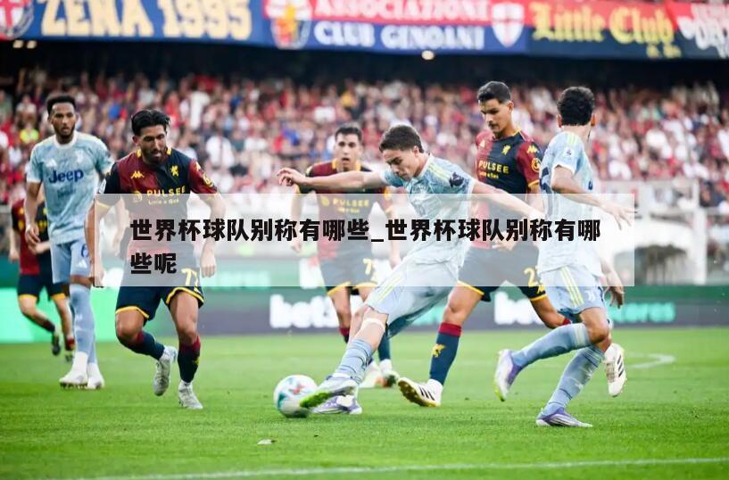 世界杯球队别称有哪些_世界杯球队别称有哪些呢